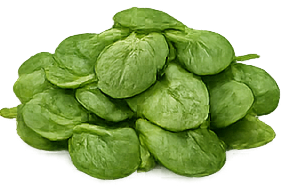 Baby Spinach